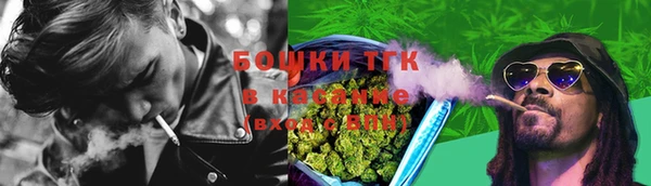 МДПВ Новозыбков