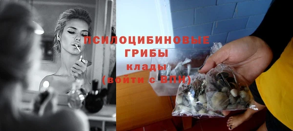 ПСИЛОЦИБИНОВЫЕ ГРИБЫ Новодвинск