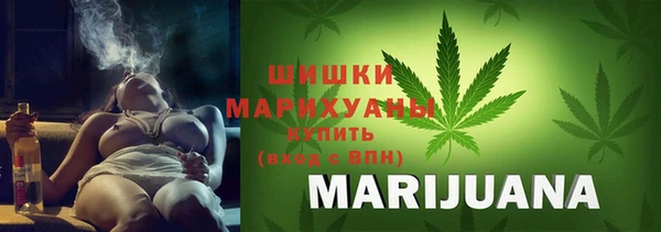 МДПВ Новозыбков