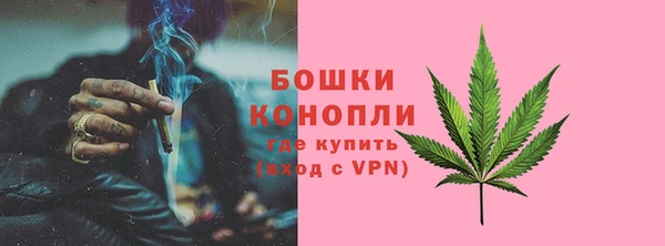 ПСИЛОЦИБИНОВЫЕ ГРИБЫ Новодвинск
