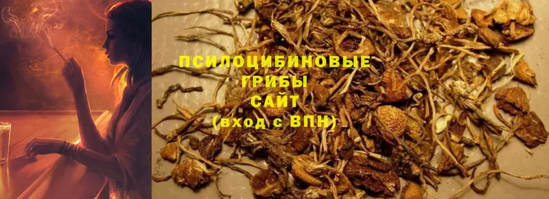 Псилоцибиновые грибы GOLDEN TEACHER  что такое   Губкинский 