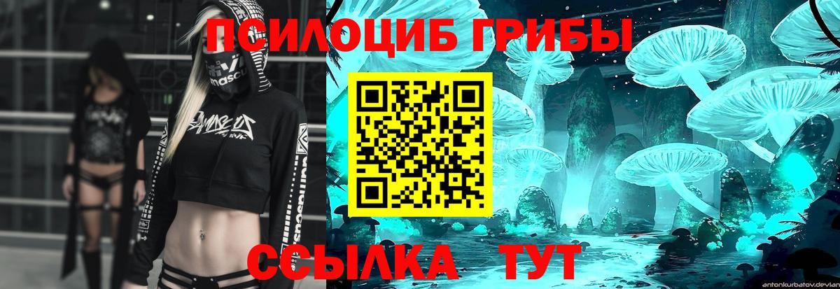 Псилоцибиновые грибы мухоморы  Вход с VPN  купить наркоту  Галлюциногенные грибы мицелий  Губкинский 